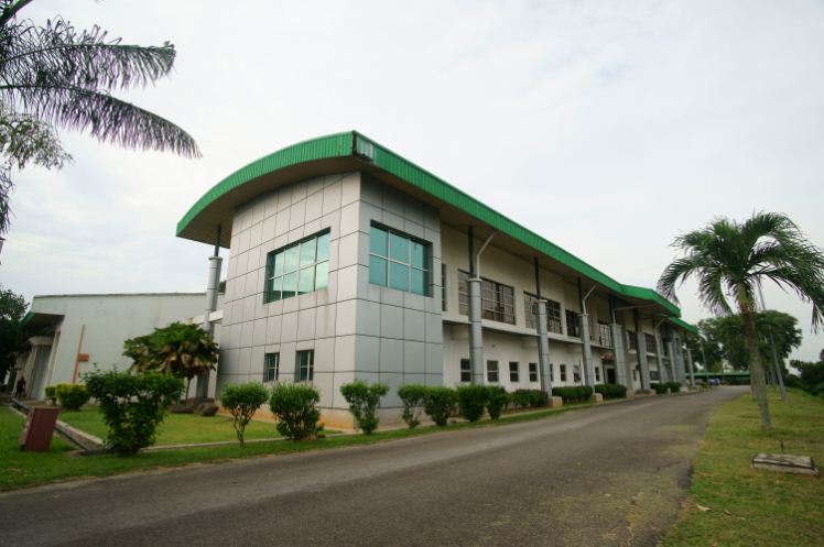 Pharmaceutical consulting and project management